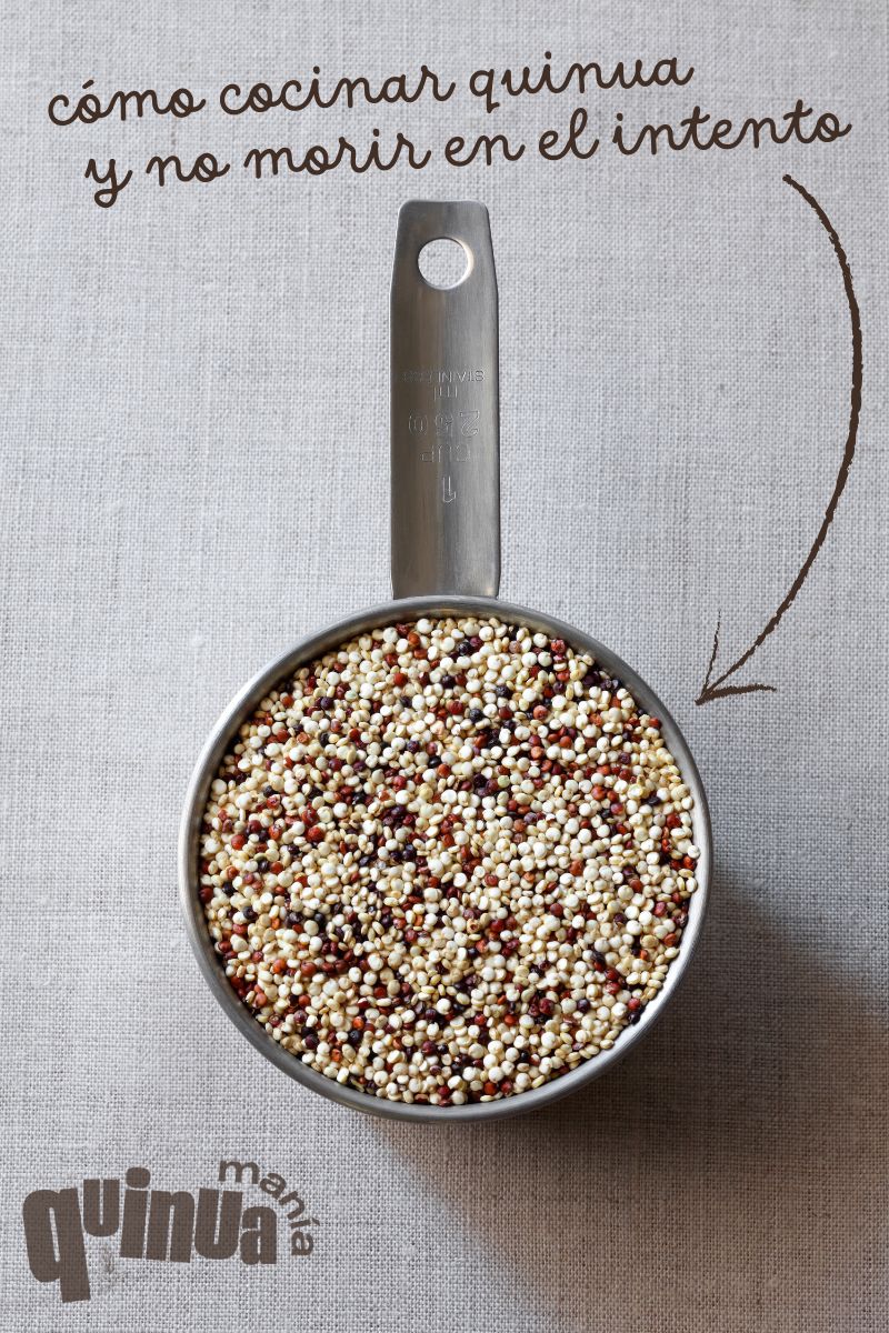 Granos de quinua en tonos blancos, rojos y negros, resaltando su variedad y textura. Una imagen vibrante que muestra la diversidad de este superalimento andino, ideal para múltiples preparaciones.